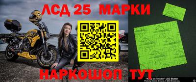 спиды Камышлов