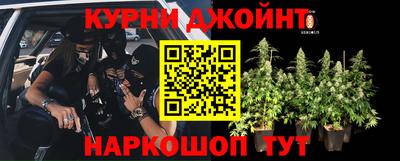 спиды Камышлов