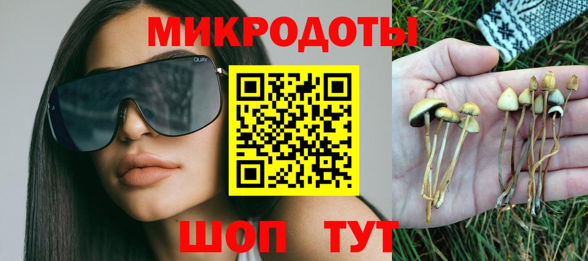 Псилоцибиновые грибы Psilocybe Энгельс