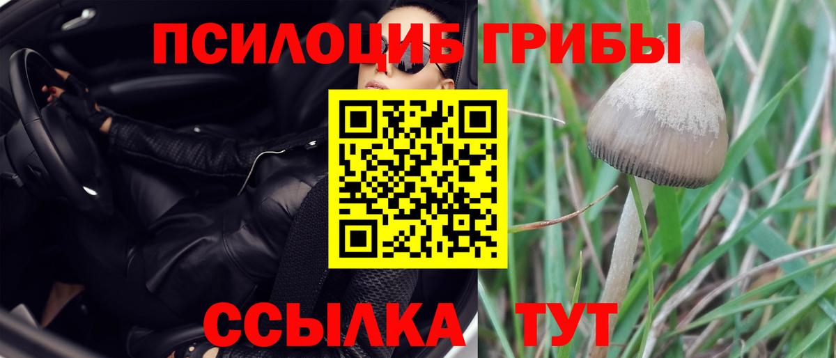 Псилоцибиновые грибы Psilocybe  Галлюциногенные грибы Magic Shrooms  Вход с VPN  Энгельс 